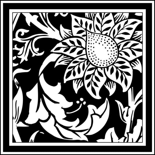 Image Only
