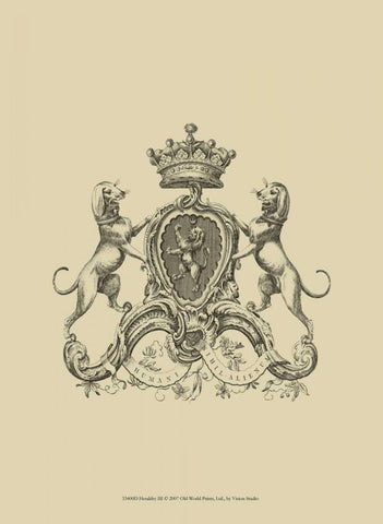 Heraldry III White Modern Wood Framed Art Print with Double Matting by Vision Studio