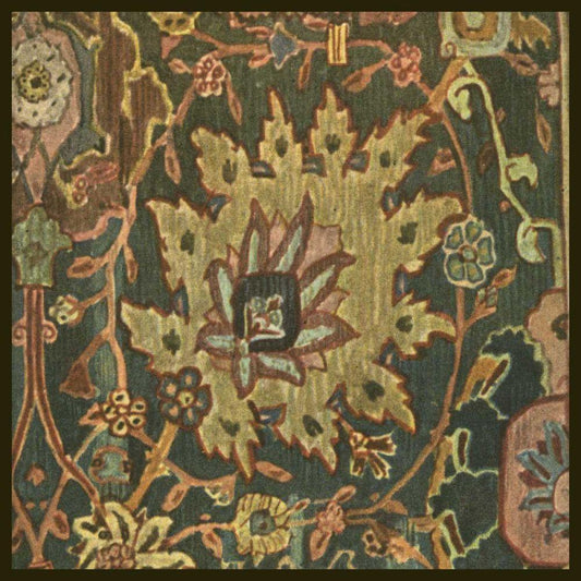 Image Only