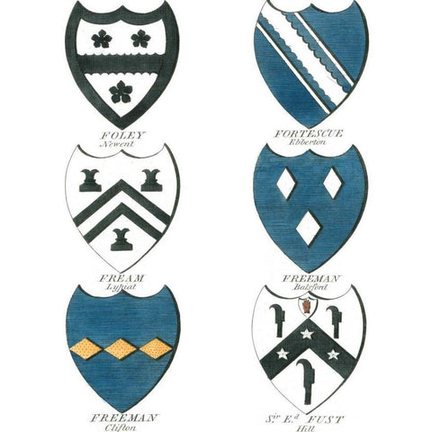 Coat of Arms I Black Modern Wood Framed Art Print by Catton