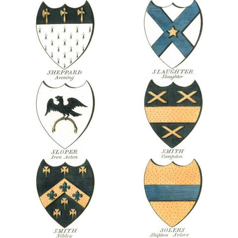 Coat of Arms III Black Modern Wood Framed Art Print with Double Matting by Catton