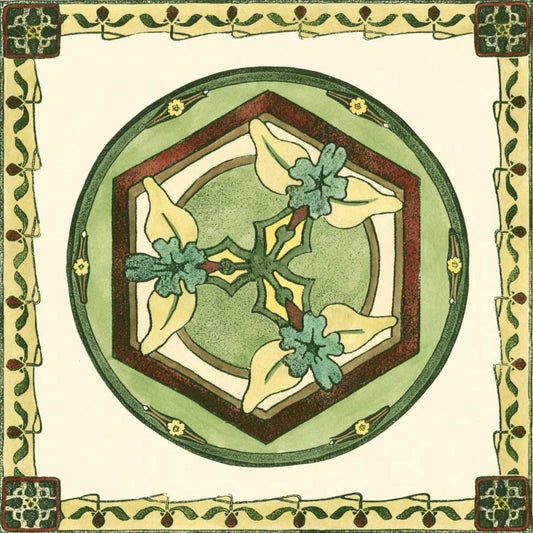Image Only