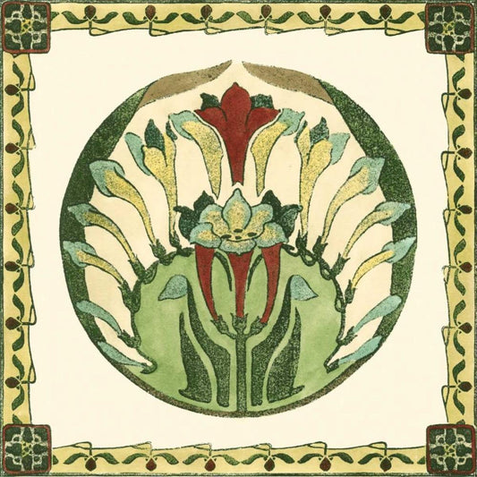 Image Only