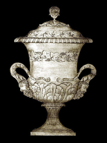 Small Garden Antiquities IV (AH) Black Ornate Wood Framed Art Print with Double Matting by Vision Studio