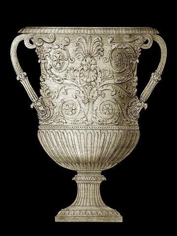 Small Garden Antiquities V (AH) Black Ornate Wood Framed Art Print with Double Matting by Vision Studio