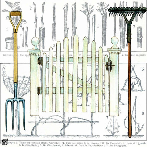 Garden Gate I White Modern Wood Framed Art Print by Joyner, Ginny