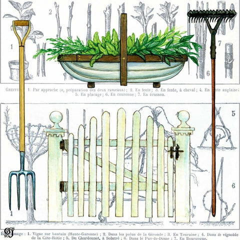 Garden Gate II White Modern Wood Framed Art Print with Double Matting by Joyner, Ginny