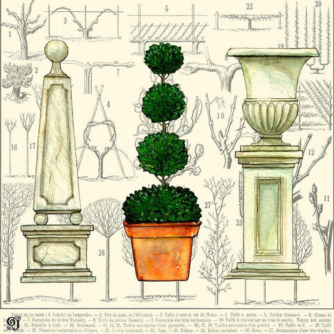 Garden Topiary Black Modern Wood Framed Art Print by Joyner, Ginny