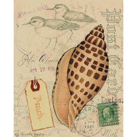 Postcard Shells I White Modern Wood Framed Art Print by Pallan, Nancy S.