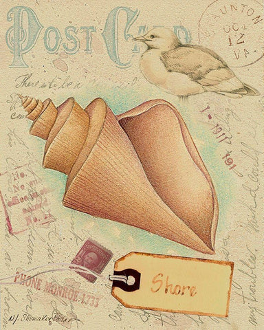 Postcard Shells III Black Ornate Wood Framed Art Print with Double Matting by Pallan, Nancy S.