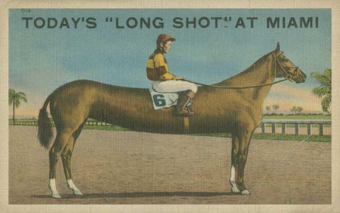 Long Shot White Modern Wood Framed Art Print with Double Matting by Unknown