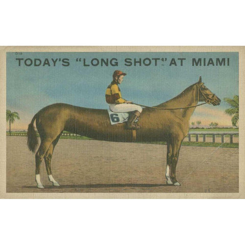 Long Shot Black Modern Wood Framed Art Print with Double Matting by Unknown