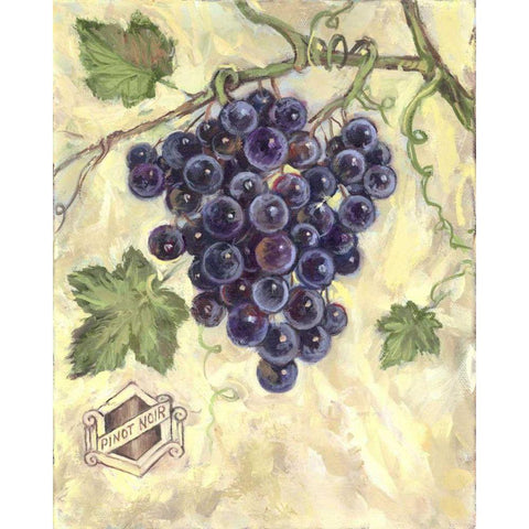 Pinot Noir White Modern Wood Framed Art Print by Kasun, Theresa