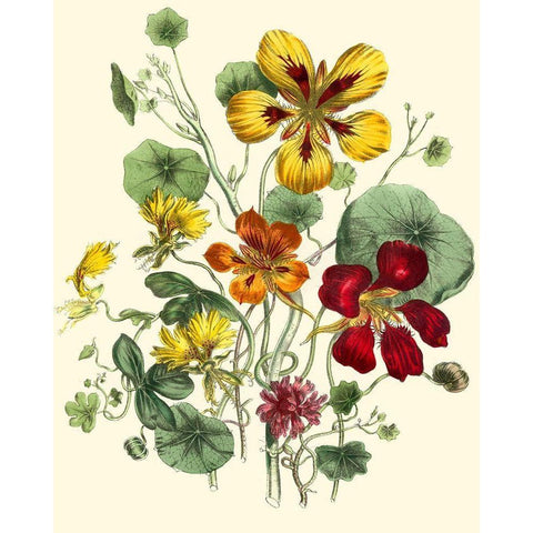 Summer Flowers I Gold Ornate Wood Framed Art Print with Double Matting by Unknown