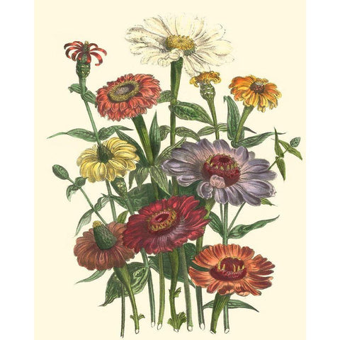 Summer Flowers III Gold Ornate Wood Framed Art Print with Double Matting by Unknown