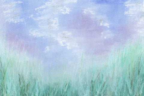 Aura I Black Ornate Wood Framed Art Print with Double Matting by Johnson, Jason