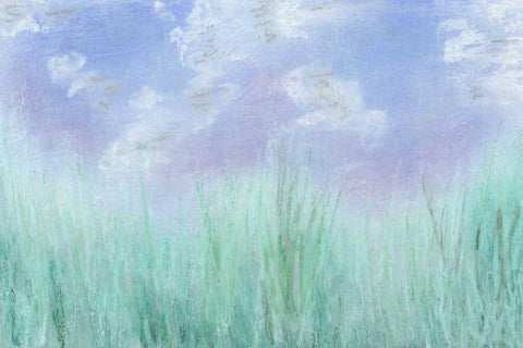 Aura II Black Ornate Wood Framed Art Print with Double Matting by Johnson, Jason