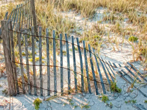 Sea Oats III White Modern Wood Framed Art Print with Double Matting by Head, Danny