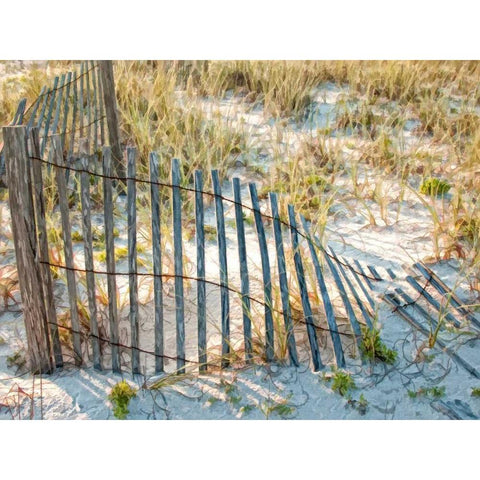 Sea Oats III White Modern Wood Framed Art Print by Head, Danny