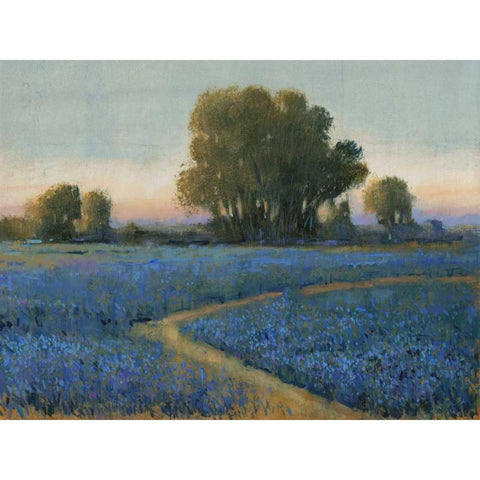 Blue Bonnet Field I Gold Ornate Wood Framed Art Print with Double Matting by OToole, Tim