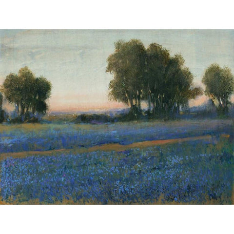 Blue Bonnet Field II Black Modern Wood Framed Art Print with Double Matting by OToole, Tim