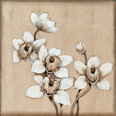 White Orchid I Black Ornate Wood Framed Art Print with Double Matting by OToole, Tim