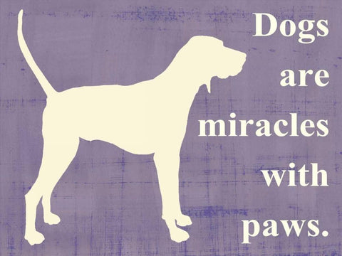 Dogs are miracles with paws White Modern Wood Framed Art Print with Double Matting by Vision Studio