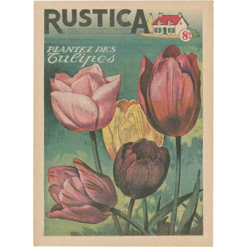 Plantez Des Tulips Gold Ornate Wood Framed Art Print with Double Matting by Unknown
