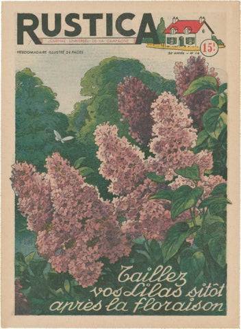 Plantez Des Lilacs Black Ornate Wood Framed Art Print with Double Matting by Unknown