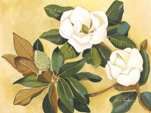Southern Magnolia I White Modern Wood Framed Art Print with Double Matting by Taylor, Kris