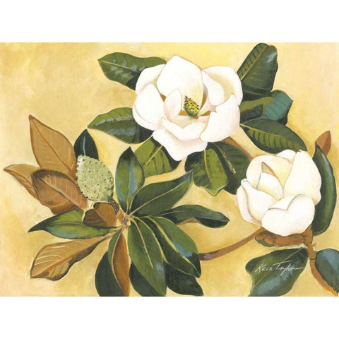 Southern Magnolia I Black Modern Wood Framed Art Print by Taylor, Kris