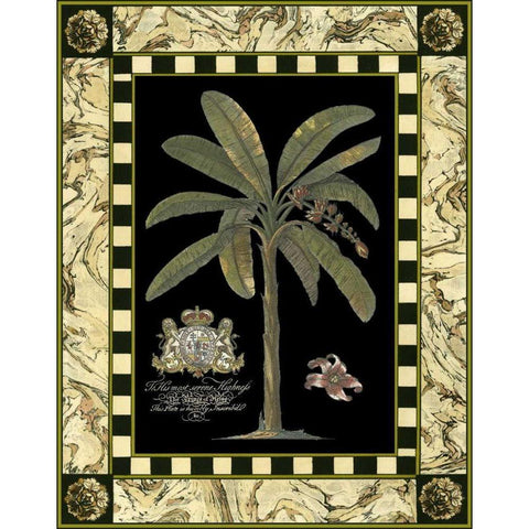 Bordered Palms on Black II Black Modern Wood Framed Art Print with Double Matting by Vision Studio