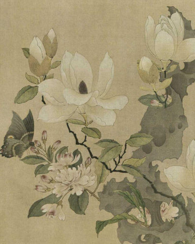 Magnolia and Butterfly Black Ornate Wood Framed Art Print with Double Matting by Unknown