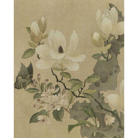 Magnolia and Butterfly Black Modern Wood Framed Art Print by Unknown