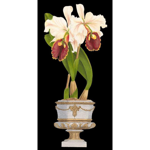 Orchids in Silver I Gold Ornate Wood Framed Art Print with Double Matting by Vision Studio