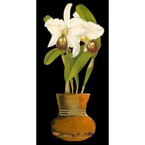 Orchids in Pot I Black Modern Wood Framed Art Print with Double Matting by Unknown