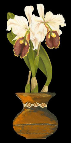 Orchids in Pot II White Modern Wood Framed Art Print with Double Matting by Unknown