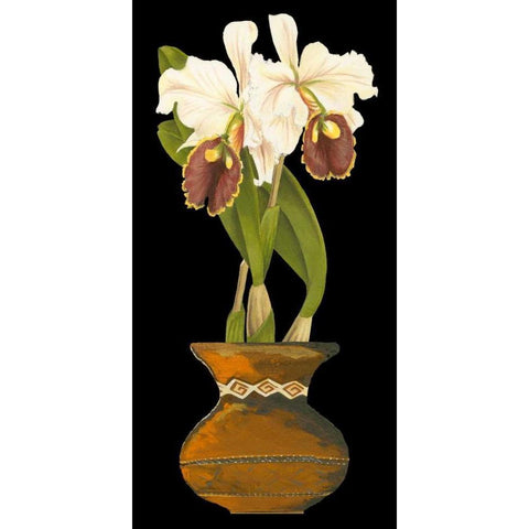 Orchids in Pot II Gold Ornate Wood Framed Art Print with Double Matting by Unknown