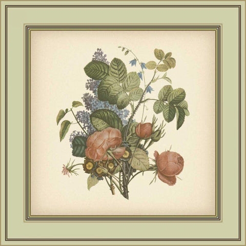 Tuscany Bouquet III Black Modern Wood Framed Art Print by Unknown