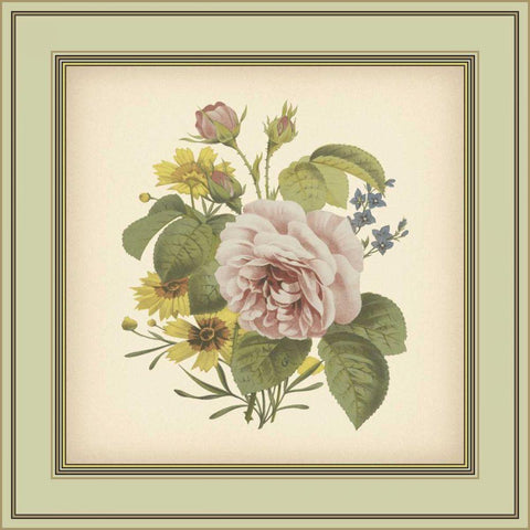 Tuscany Bouquet VIII Black Ornate Wood Framed Art Print with Double Matting by Unknown