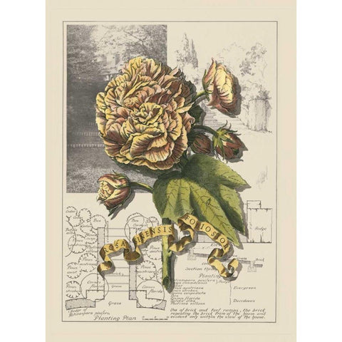 Garden in June II Black Modern Wood Framed Art Print with Double Matting by Bookman, D.