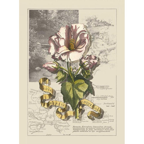Garden in June III Black Modern Wood Framed Art Print with Double Matting by Bookman, D.