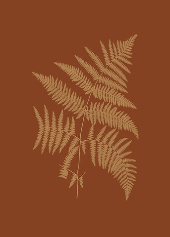 Sepia Ferns on Brick (WG) III Black Modern Wood Framed Art Print by Vision Studio