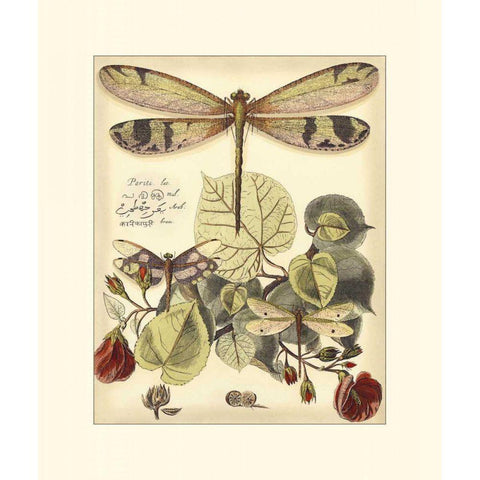 Whimsical Dragonflies II White Modern Wood Framed Art Print by Vision Studio