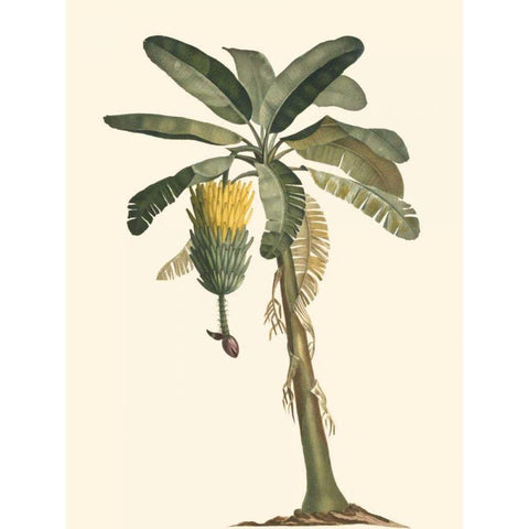 Exotic Palms VI Gold Ornate Wood Framed Art Print with Double Matting by Vision Studio