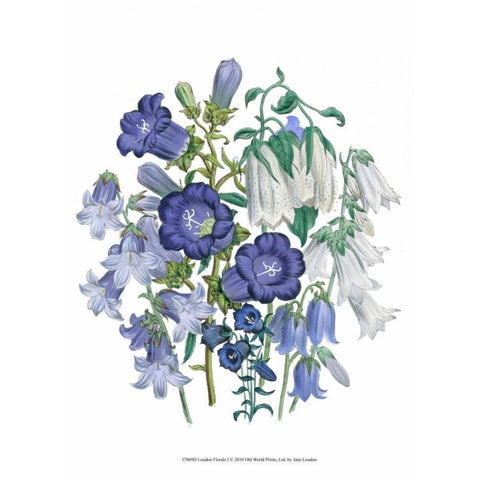 Loudon Florals I Black Modern Wood Framed Art Print with Double Matting by Loudon, Jane