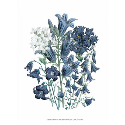 Loudon Florals III White Modern Wood Framed Art Print by Loudon, Jane