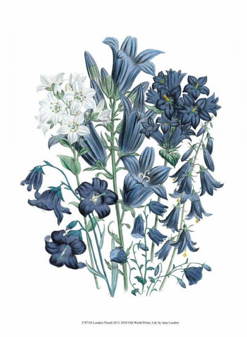 Loudon Florals III White Modern Wood Framed Art Print with Double Matting by Loudon, Jane