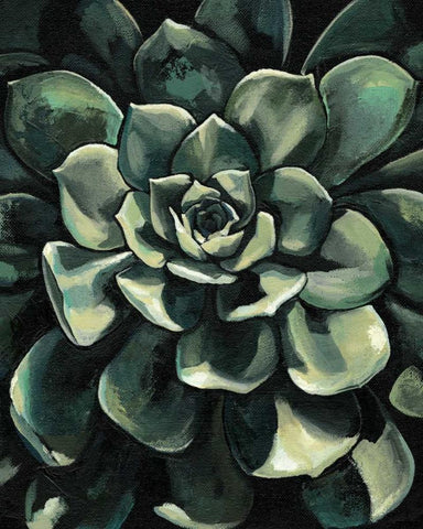 Printed Lunar Succulent I Black Ornate Wood Framed Art Print with Double Matting by Meagher, Megan