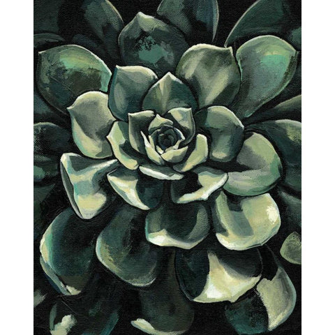 Printed Lunar Succulent I Black Modern Wood Framed Art Print by Meagher, Megan